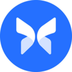Morpho Blue logo